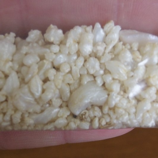 The Largest Natural Pearl Discovery in the U.S.