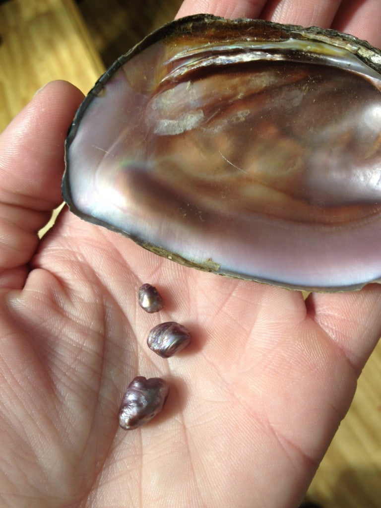 Three pearls in Eighteen Months!