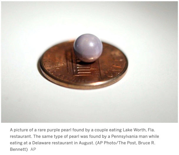 Quahog Pearls for Dinner