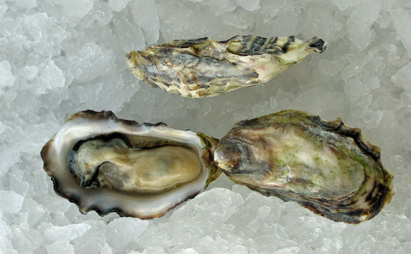 Why You Will Not Find A Pearl At Dinner
