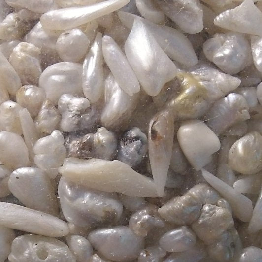 Are Natural Pearls More Expensive Than Cultured Pearls