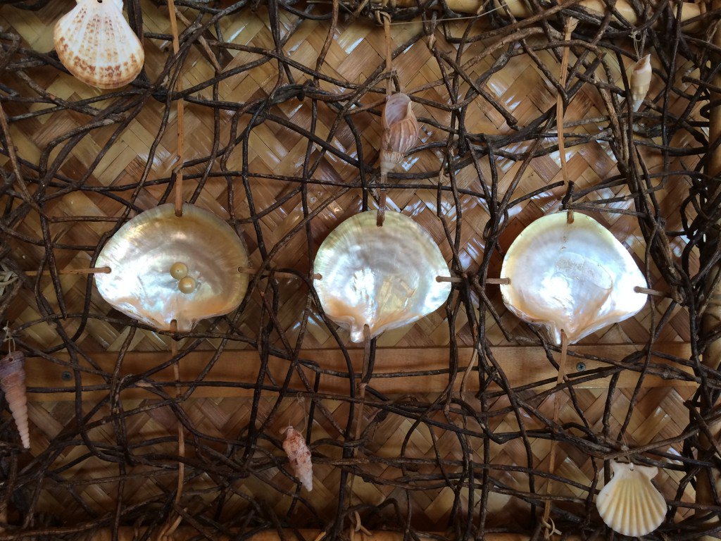 What Kills The Mollusk?