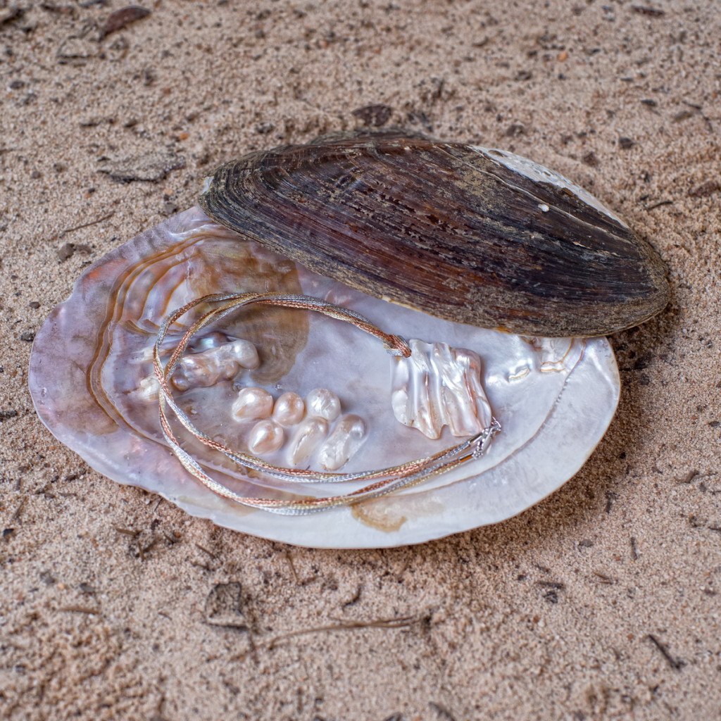 Mother of Pearl – The Pearl Girls