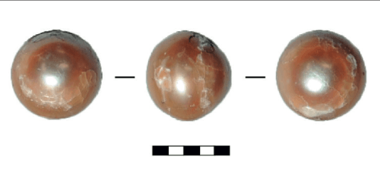 Why Sand Can Never Form A Pearl