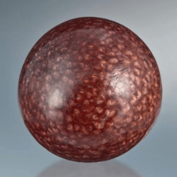 Can a Scallop Produce A Pearl?