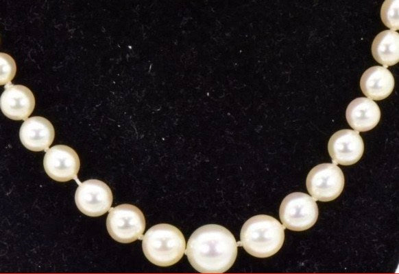 Are These Pearls From the Persian Gulf?