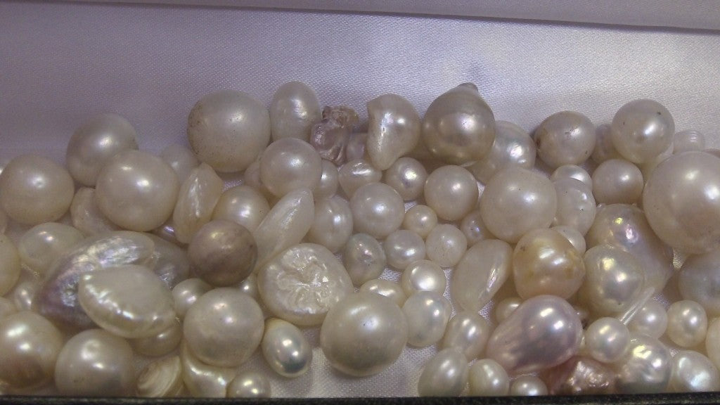 Why Are Natural Pearls So Hard to Find?