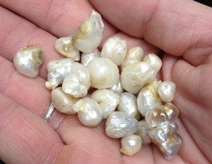 Caring for Natural Pearls