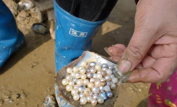 Can cultured pearls be naturally colored?