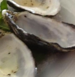 A Pearl in My Oyster?