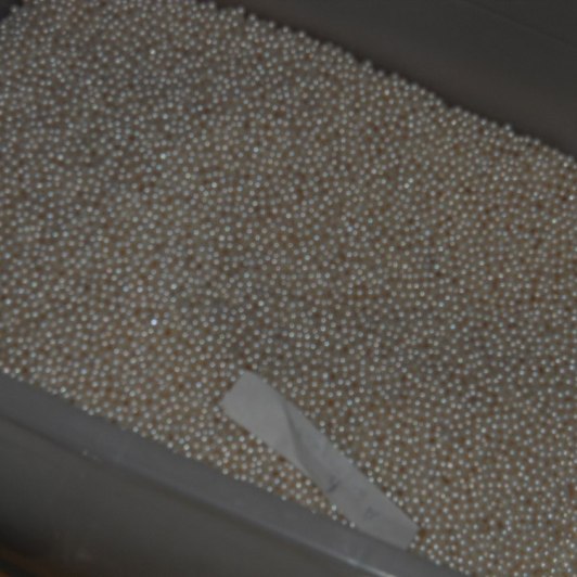 Cultured Pearls and Fish