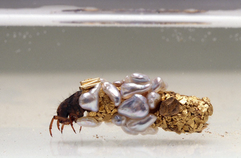 A Gold and Pearl Cocoon