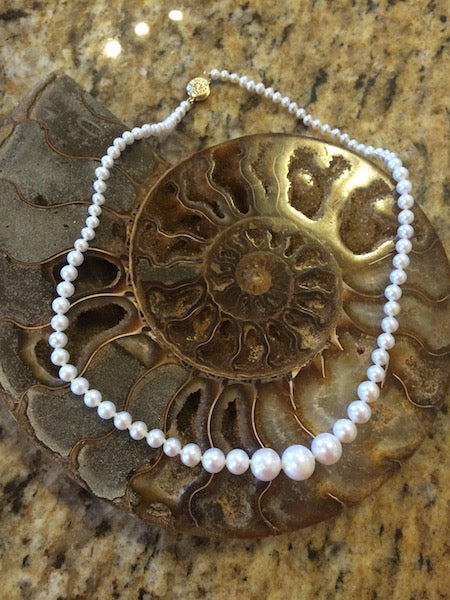 The Graduated Pearl Necklace - Your Pearl Story