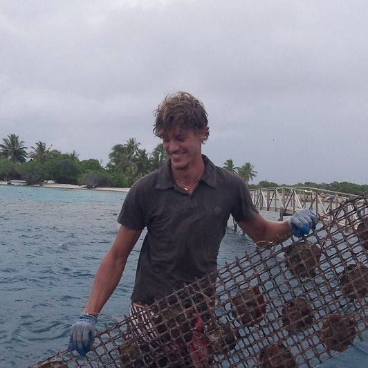 What Happening at a Black Pearl Farm today?