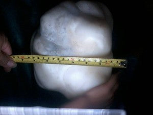 When Non-Nacreous Pearls Have Value