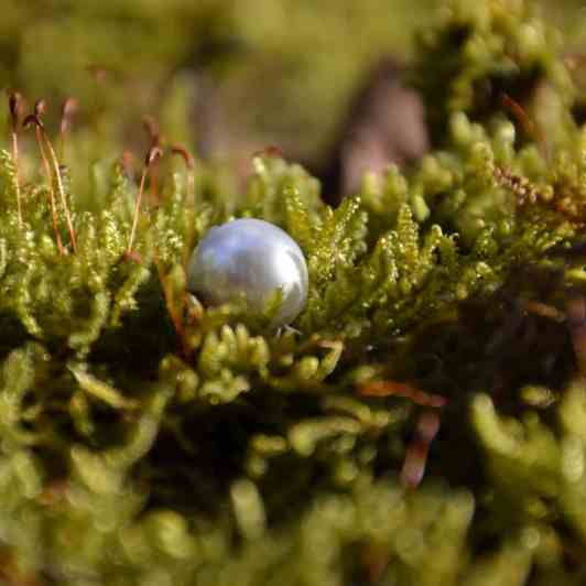 Why I Do Not Grade Pearls