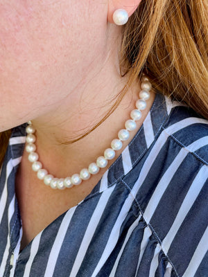 Signature Large Cultured Pearl Necklace
