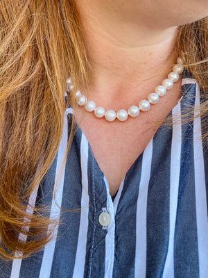 Signature Large Cultured Pearl Necklace